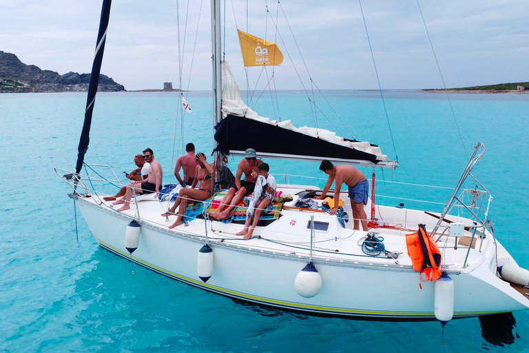 From Stintino: Asinara Sailboat Tour with Lunch Sailboat Tour and Lunch with 11 Seats