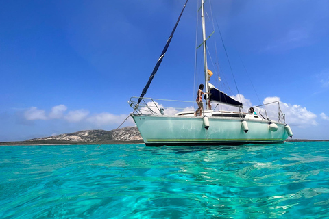 From Stintino: Asinara Sailboat Tour with Lunch Sailboat Tour and Lunch with 11 Seats