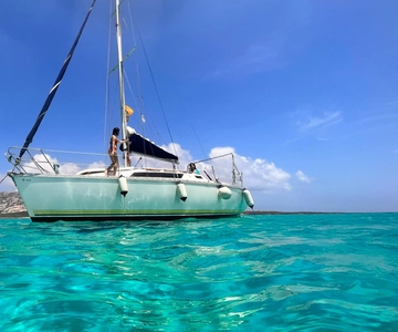 Asinara: escursione in barca a vela di un giorno intero da Stintino