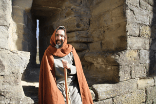 Tour della città a Carcassonne