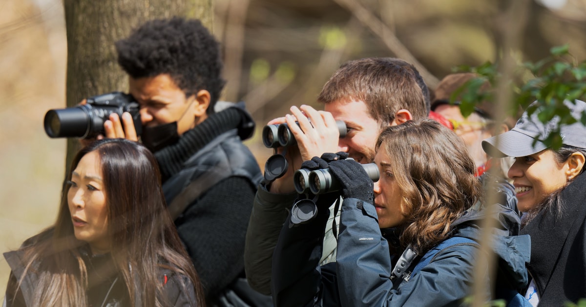 bird watching tours nyc