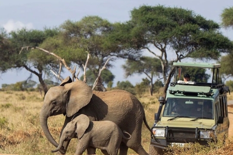 Arusha: Safaris en Tanzania por Tarangire y el cráter del NgorongoroDesde Arusha: Safari de 2 días a Tarangire y el cráter del Ngorongoro