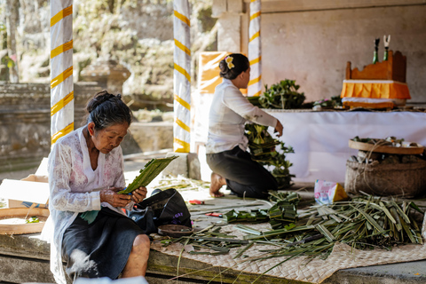 Bali: Hidden Canyon, Waterfall & Temples Small Group Tour Small Group Tour