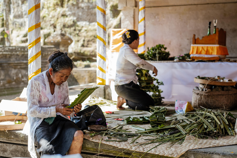 Bali: Hidden Canyon, Waterfall &amp; Temples Small Group TourPrivate Tour with Hidden Canyon