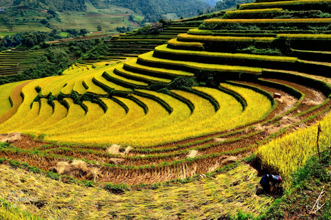 De Hanói: 2 dias em Sapa com o pico Fansipan e trekkingExcursão de Hanói