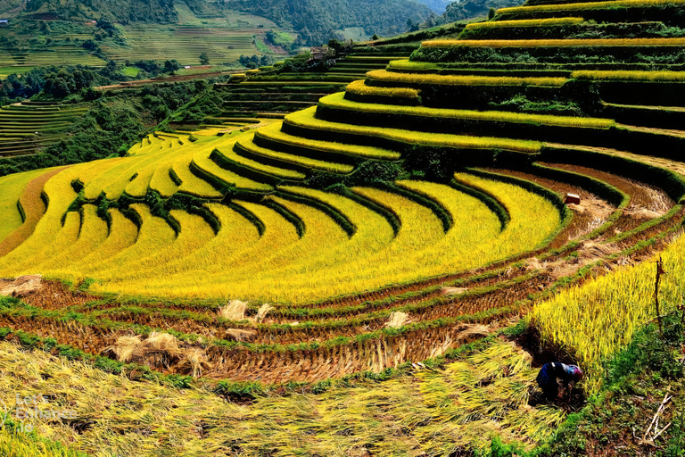 De Hanói: 2 dias em Sapa com o pico Fansipan e trekkingExcursão de Hanói