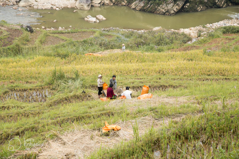 Desde Hanoi: Sapa de 2 días con Pico Fansipan y TrekkingDesde Hanoi: 2 días en Sapa para explorar el Pico Fansipan y hacer senderismo étnico