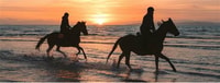 Horseback riding in Boavista - Housity