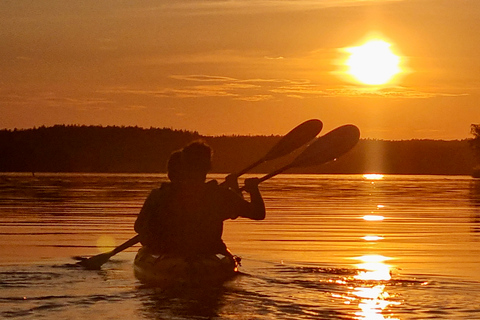 Stockholm : Excursion en kayak au coucher du soleil sur le lac Mälaren avec thé et gâteau