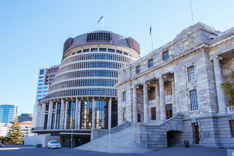 Wellington: Private custom tour with a local guide 8 Hours Walking Tour