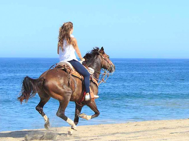 Visit Horseback riding in Boavista in Boa Vista, Cape Verde