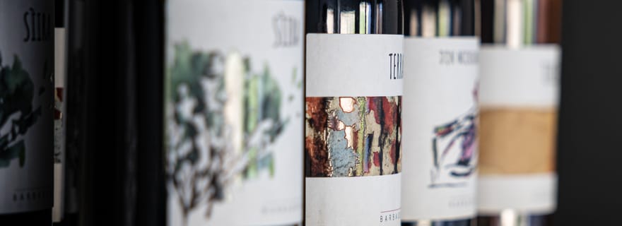 Promenade dans les rangs de vignes et dégustation de vins