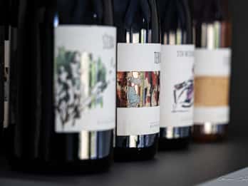 Spaziergang zwischen den Reihen der Weinberge und Weinverkostung