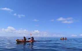  - Canarie.it