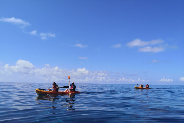 Madeira: Halbtägige Kajak- und Schnorcheltour