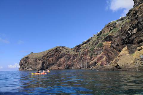 Madère: excursion d'une demi-journée en kayak et plongée en apnée