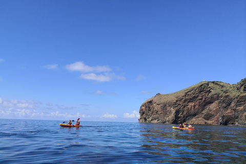 Madère: excursion d'une demi-journée en kayak et plongée en apnée