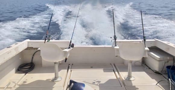 Alicante: Fishing Trip with All Gear & Drinks Included