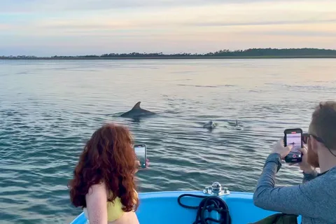 Charleston: Morris Island Dolphin Cruise with Beachcombing