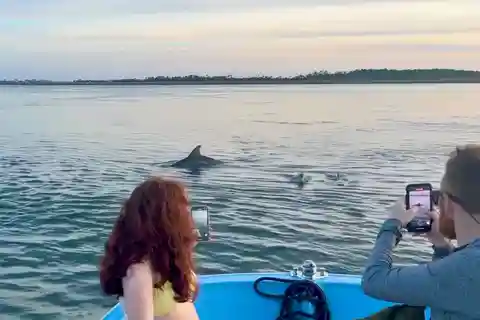 Charleston: Morris Island Dolphin Cruise with Beachcombing