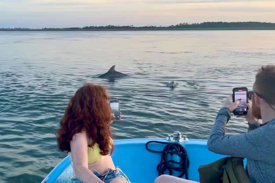 Charleston: Morris Island Delphin-Kreuzfahrt mit Beachcombing. Foto: GetYourGuide