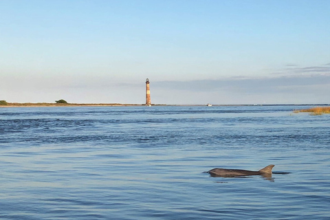 Charleston: Morris Island dolfijn cruise met strandjutten