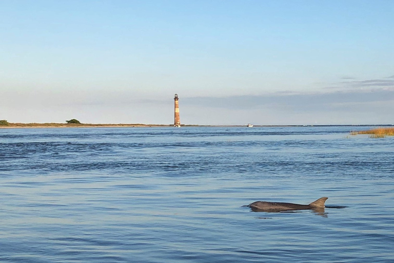 Charleston : Croisière pour les dauphins de l'île Morris avec découverte de la plage