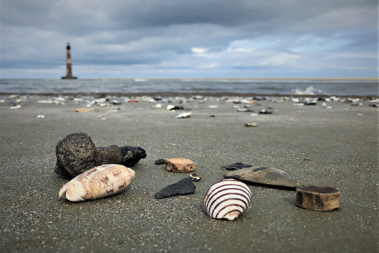 Charleston: Morris Island dolfijn cruise met strandjutten