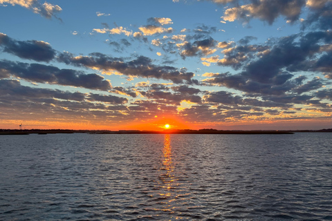 Charleston: Morris Island Dolphin Cruise with Beachcombing