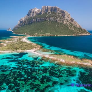 Tavolara protected marine area boat tour