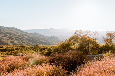 Los Angeles: Private Professional Vacation Photoshoot 30-Minute Los Angeles Photoshoot