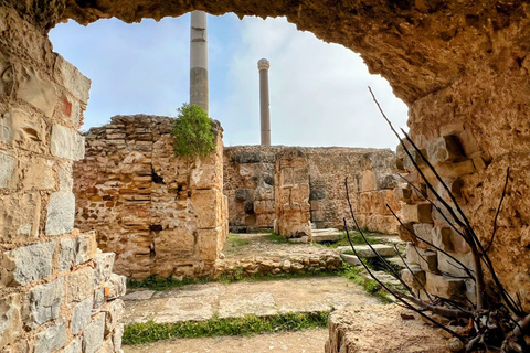 Túnez Medina , Cartago , Sidi Bou Said excursión en tierraExcursión en tierra Medina de Túnez, Cartago ,Sidi Bou Said