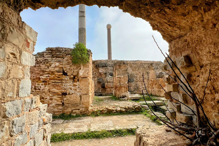 Túnez Medina , Cartago , Sidi Bou Said excursión en tierraExcursión en tierra Medina de Túnez, Cartago ,Sidi Bou Said