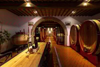 Montalcino, tour privato di cantina, degustazione di vini e antipasti - Housity