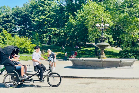 NYC: Central Park Pedicab Highlights TourPasseio de 1 hora