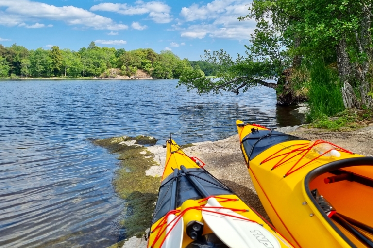 Sigtuna: visite en kayak des sites historiques du lac Mälaren avec déjeuner