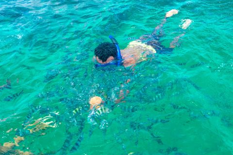 Snorkeling at Watamu Marine Park & Seafood at Sudi Island