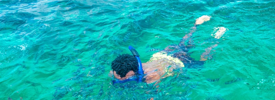 Safari bleu : Plongée en apnée au parc marin de Watamu et fruits de mer