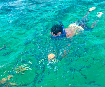 Blue Safari: Snorkeling at Watamu Marine Park & Seafood