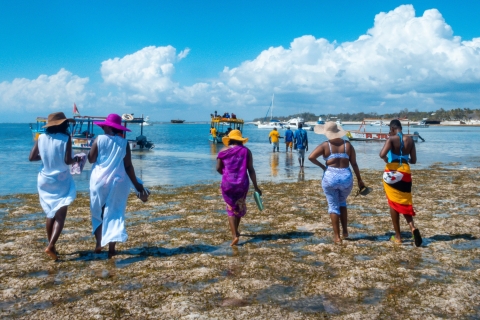 Nurkowanie z rurką w Watamu Marine Park i owoce morza na wyspie SudiWyjazd z Mombasy, Shanzu i Mtwapy