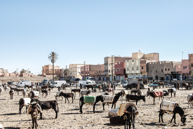 Från Marrakech : 6 dagar Sahara Desert Tour &amp; Camel Ride