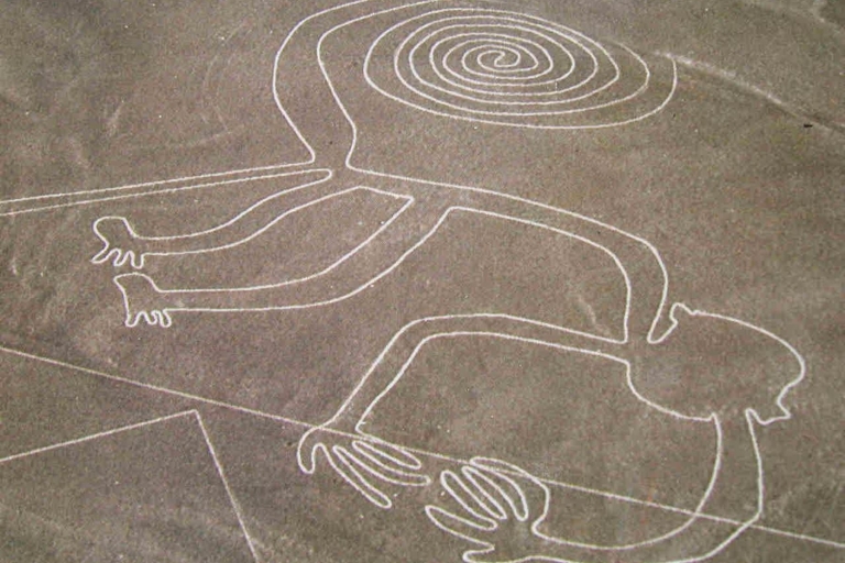 Desde Nazca: Vuelo sobre las Líneas de Nazca 35 minutosNazca: Vuelo sobre las Líneas de Nazca 35 minutos