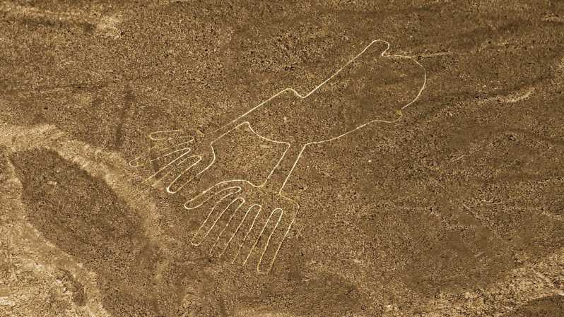 From Nazca: Flight over the Nazca Lines 35 minutes