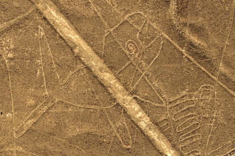 Depuis Nazca : Vol au-dessus des lignes de Nazca 35 minutesNazca : Vol au-dessus des lignes de Nazca 35 minutes