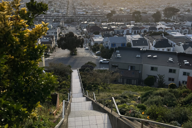 O lado selvagem de San Francisco, Ecotour com meteorologista