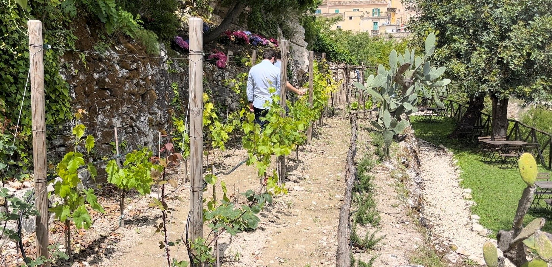 Radici: Tauche ein in die berauschenden Düfte unseres Gartens