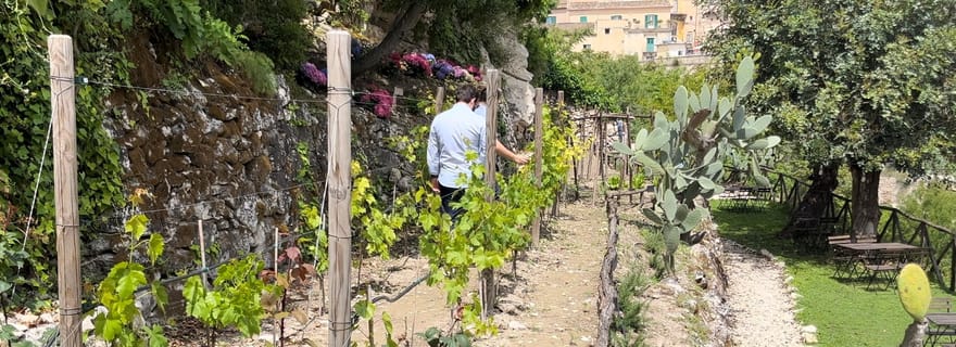 Radici : Plongez dans les senteurs enivrantes de notre jardin