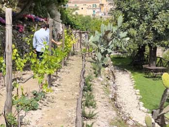 Radici: Sumérgete en los embriagadores aromas de nuestro jardín