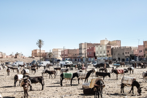 From Casablanca : 11 Days to Sahara Desert, Imperial cities