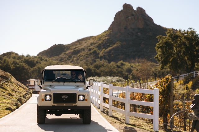 Los Angeles : Visite privée d'un vignoble en 4x4 à Malibu